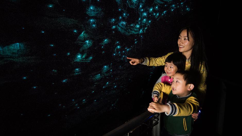 Explore & Experience the majestic Waitomo Glowworm Caves on this epic small group day tour from Auckland and is a fantastic opportunity to travel in style on our luxurious and comfortable minibus. 